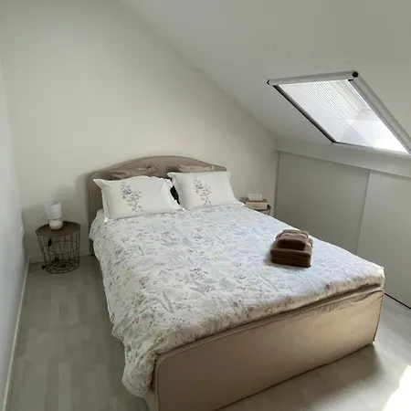 Next2airport - House Of Lions 아파트