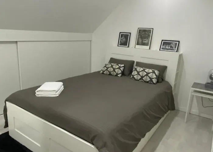 Next2airport - House Of Lions *