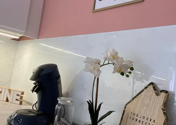 Next2airport - House Of Lions * 然萨特