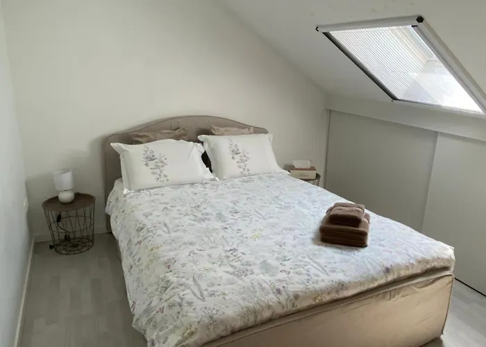 Next2airport - House Of Lions Daire