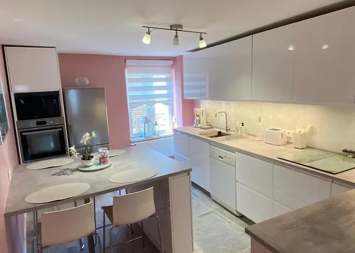 公寓 Next2airport - House Of Lions