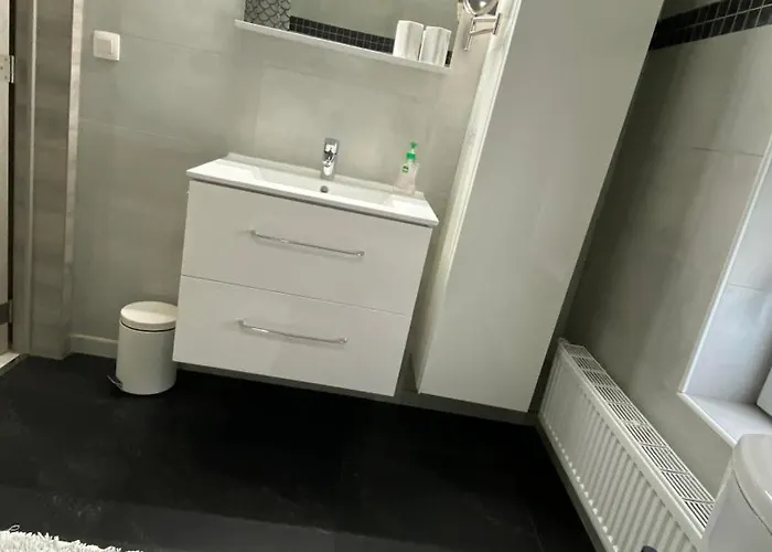 公寓 Next2airport - House Of Lions 然萨特