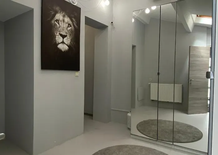 公寓 Next2airport - House Of Lions *