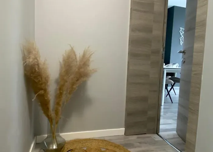 Next2airport - House Of Lions 然萨特