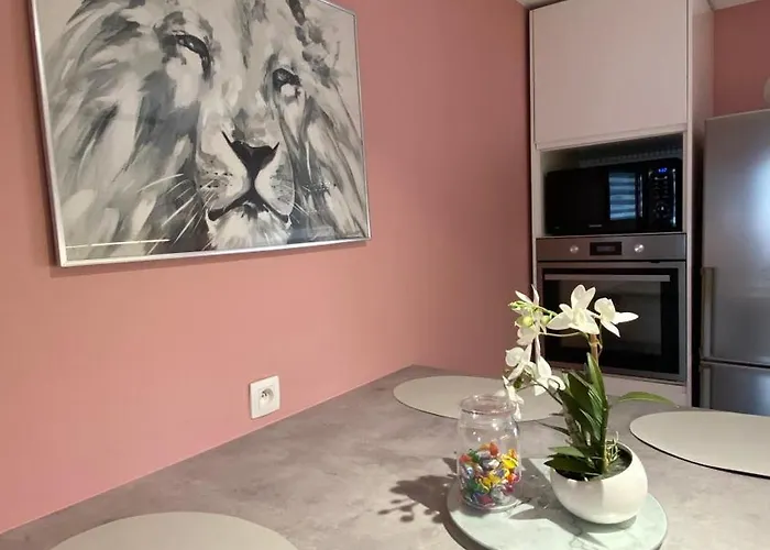 公寓 Next2airport - House Of Lions