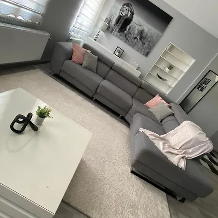 Next2airport - House Of Lions Apartment *